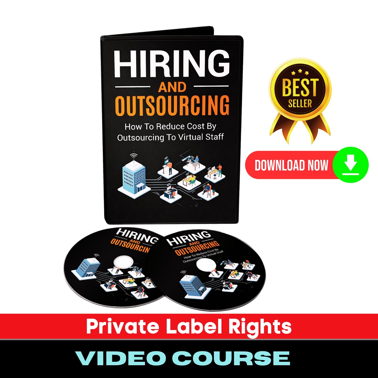 Hiring and Outsourcing (Video Training)