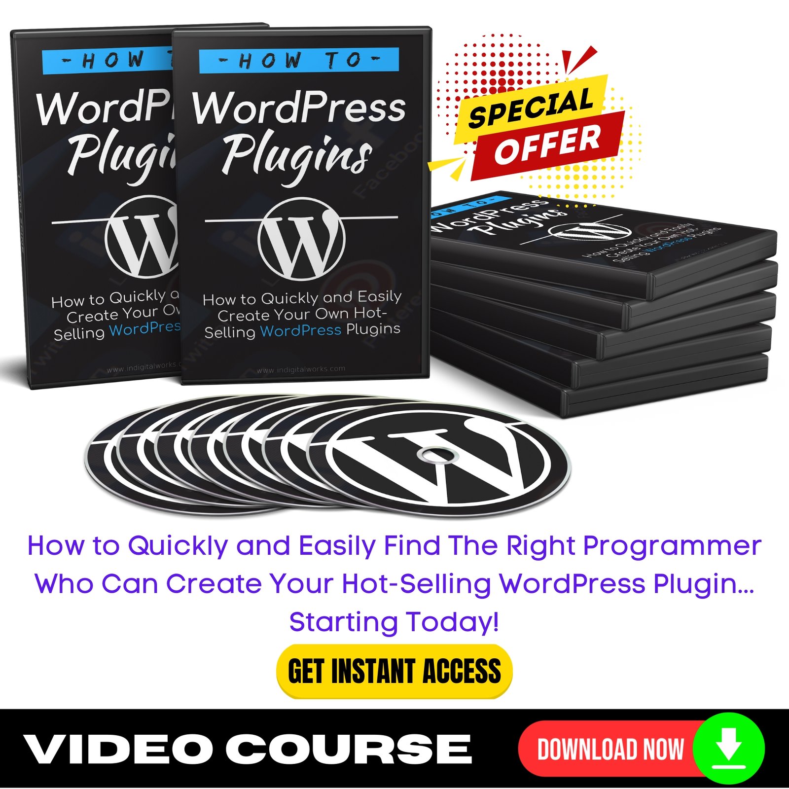 How To WordPress Plugins (Video Training)